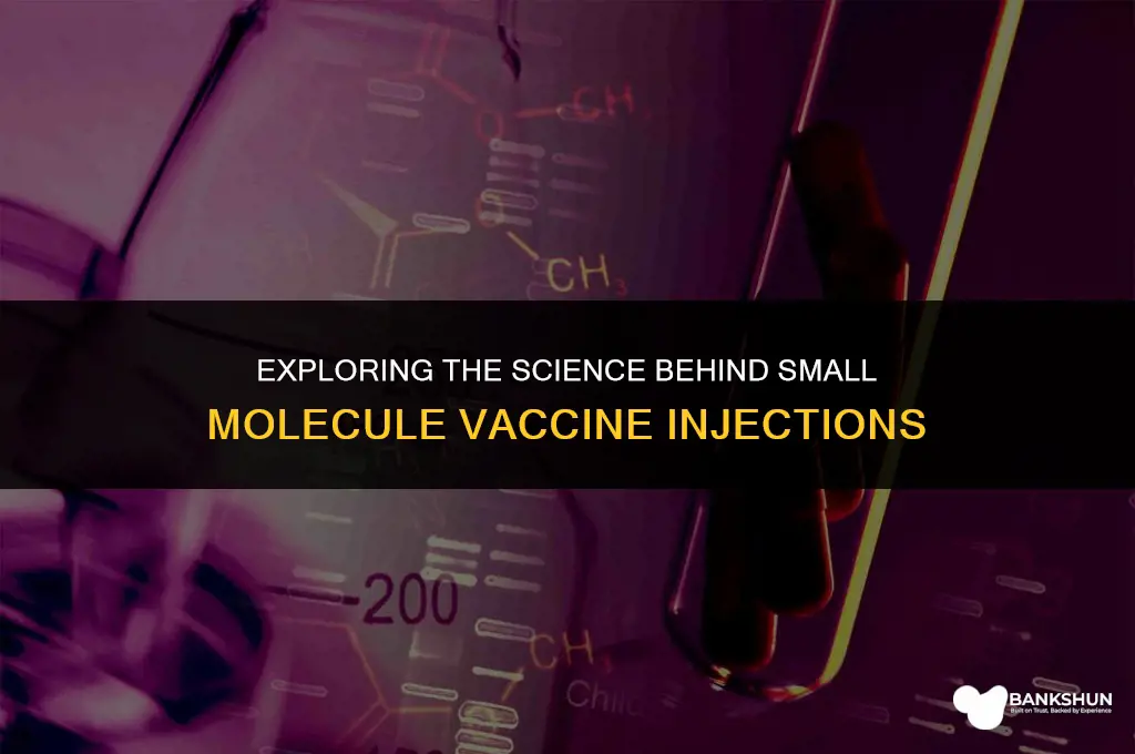 what kind of vaccine injects small molecules