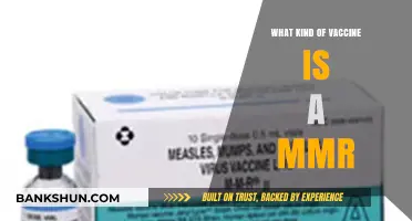 Understanding the MMR Vaccine: Protecting Against Measles, Mumps, and Rubella