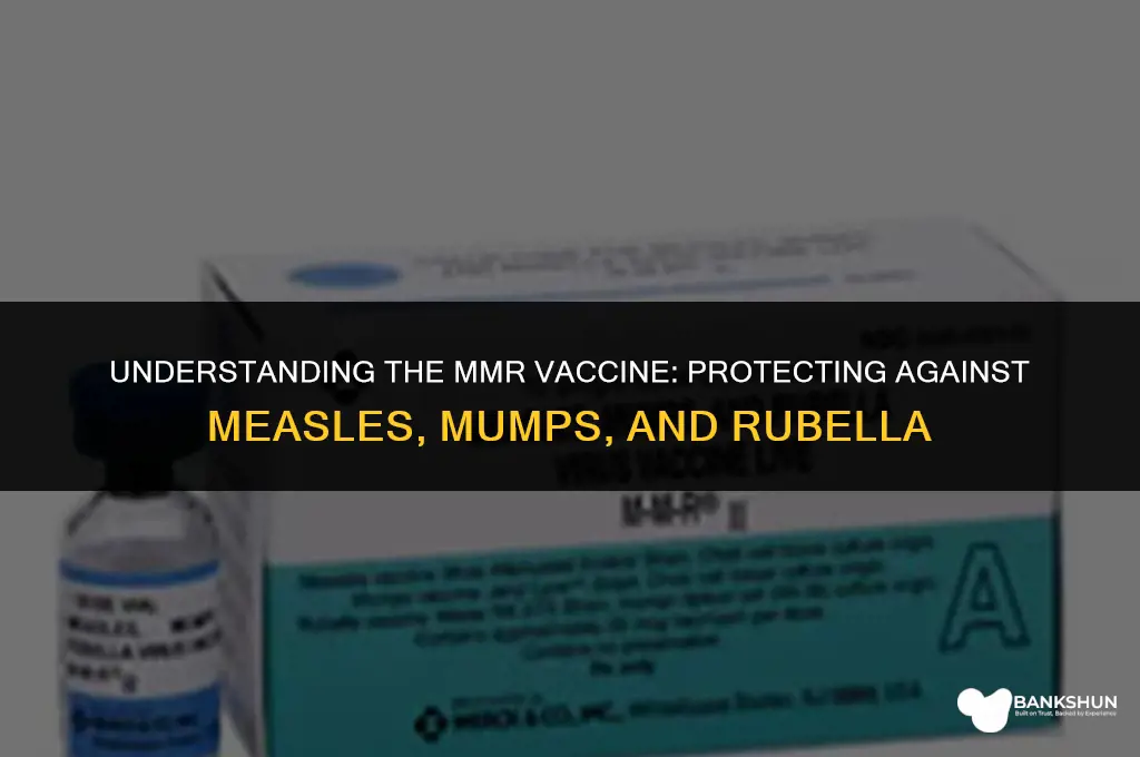 what kind of vaccine is a mmr