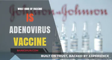 Unlocking the Power of Adenovirus Vaccines: A Comprehensive Guide