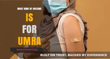 Understanding Umrah Vaccines: A Guide for Pilgrims