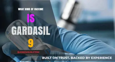 Understanding Gardasil 9: The HPV Vaccine for Comprehensive Protection