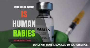 Understanding Human Rabies Vaccines: Types and Effectiveness