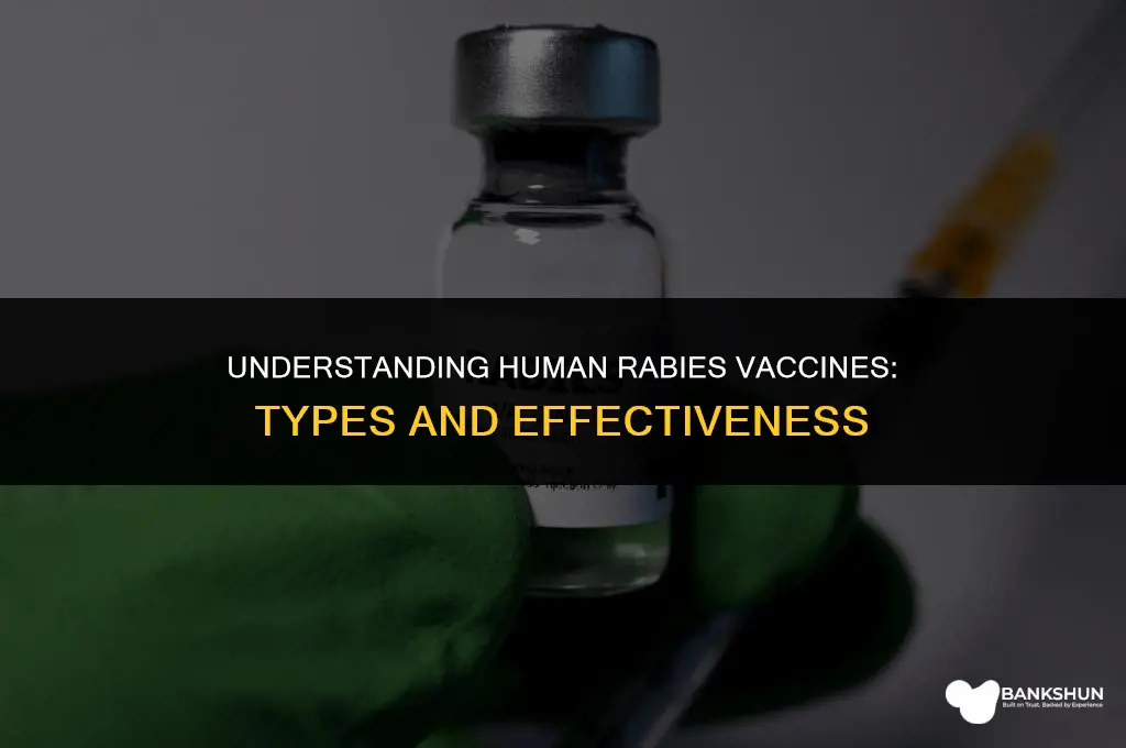 what kind of vaccine is human rabies