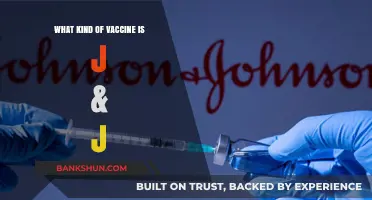 Unveiling the J&J Vaccine: A Comprehensive Guide to Its Composition and Efficacy