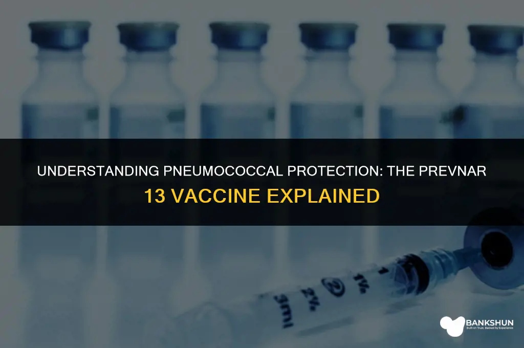 what kind of vaccine is prevnar 13