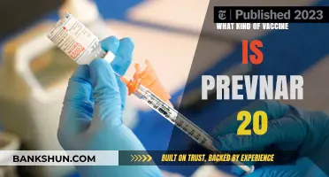 Understanding Pneumococcal Protection: The Prevnar 20 Vaccine Explained