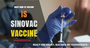 Understanding Sinovac: A Comprehensive Guide to the COVID-19 Vaccine