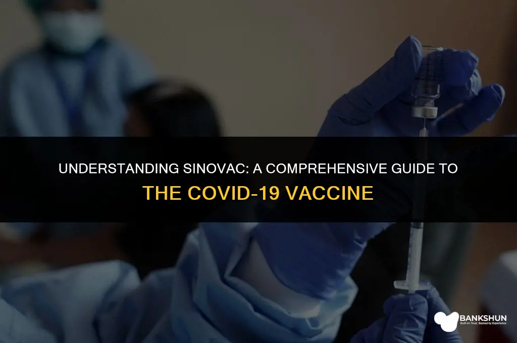 what kind of vaccine is sinovac vaccine