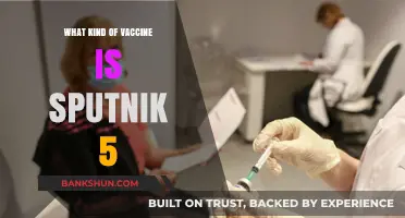 Unveiling Sputnik 5: A Comprehensive Guide to the Russian COVID-19 Vaccine