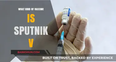 Unveiling Sputnik V: The Russian COVID-19 Vaccine Explained