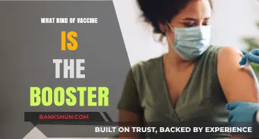 Understanding Booster Shots: What Kind of Vaccine is Right for You?