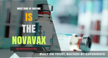 Understanding Novavax: The Protein-Based COVID-19 Vaccine
