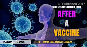 Exploring Post-Vaccine Immune Response: Which Leukocyte Takes the Lead?