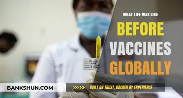 A World Without Vaccines: Global Health Before Immunization