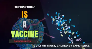 Vaccines: Our Frontline Defense Against Infectious Diseases