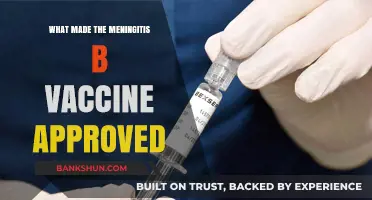 Breakthrough in Meningitis B Vaccine: A Triumph of Medical Science