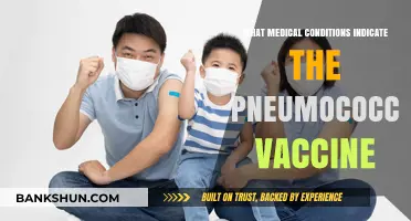 Unveiling Medical Conditions That Warrant Pneumococcal Vaccination