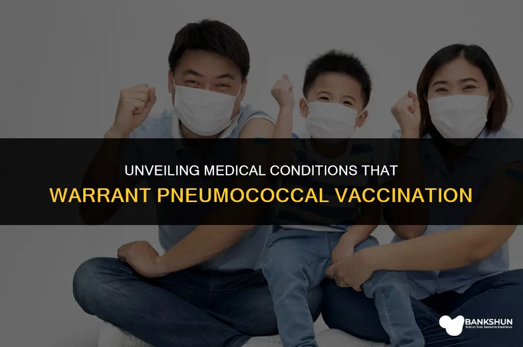 what medical conditions indicate the pneumococcal vaccine