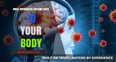 Unveiling the Effects: How Meningitis Vaccine Safeguards Your Health