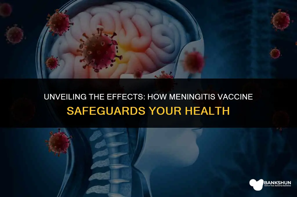 what meningitis vaccine does to your body