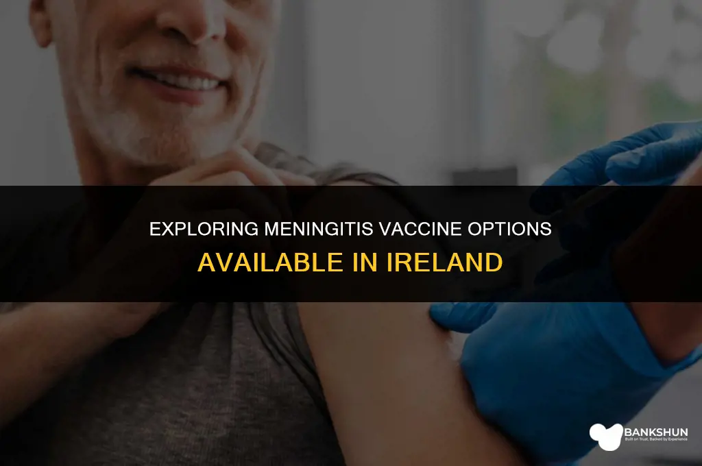 what meningitis vaccines are available in ireland