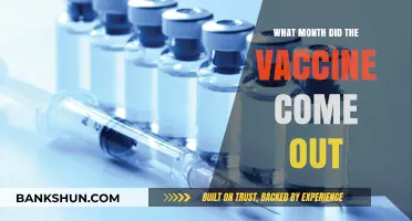 Vaccine Rollout Timeline: A Month-by-Month Breakdown