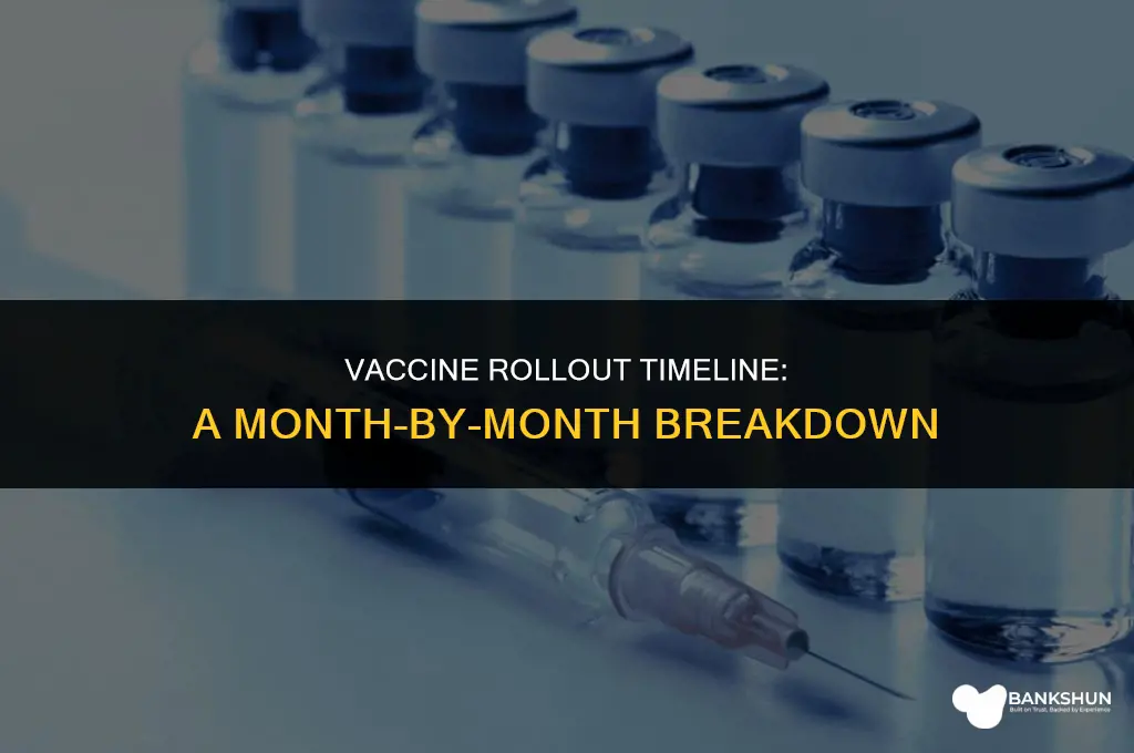 what month did the vaccine come out