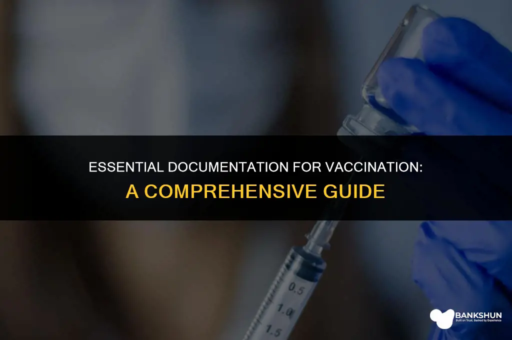 what must be documented during a vaccination