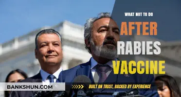 Post-Rabies Vaccine Mistakes: A Guide to Safe Practices
