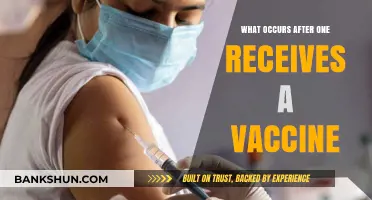 Understanding Post-Vaccination Effects: What to Expect After Your Shot