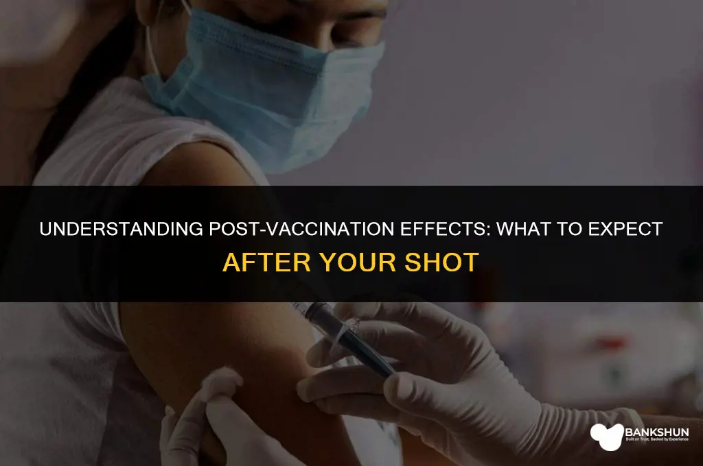 what occurs after one receives a vaccine