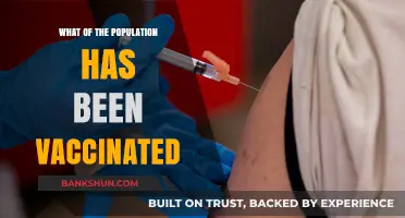 Vaccination Progress: A Snapshot of Global Immunization Efforts