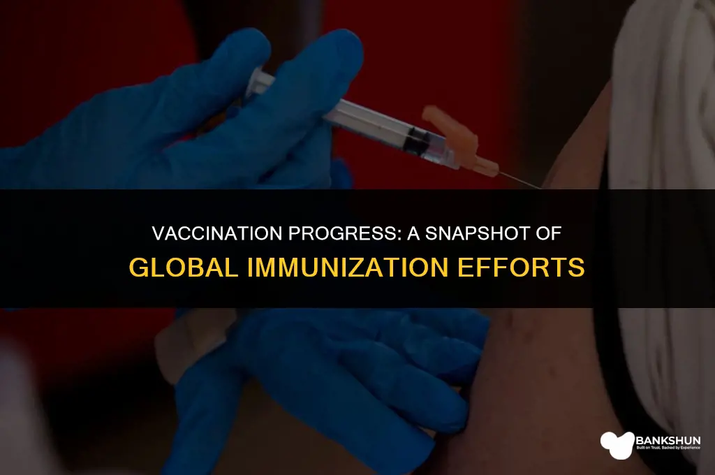 what of the population has been vaccinated