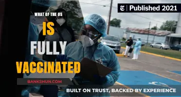 Vaccination Progress: Understanding the Fully Vaccinated Percentage in the US
