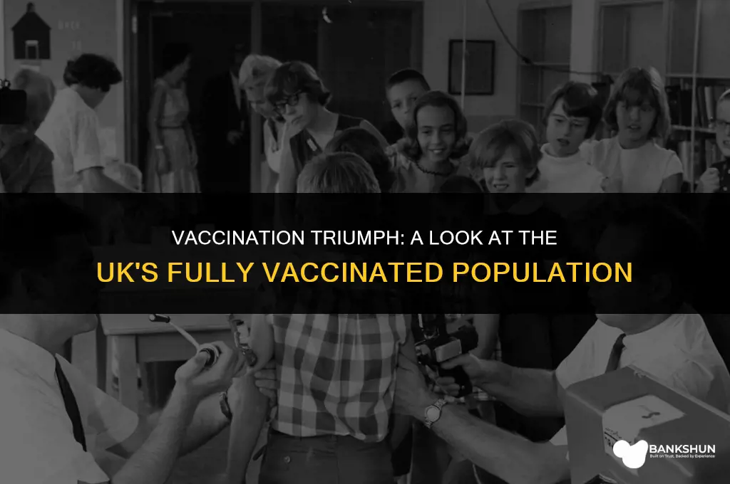 what of uk population is fully vaccinated