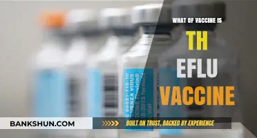 Understanding the Flu Vaccine: Types, Benefits, and Common Myths