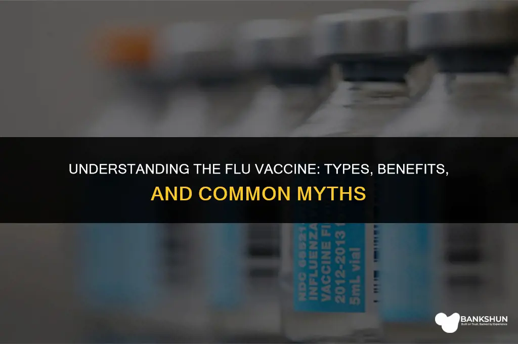 what of vaccine is th eflu vaccine