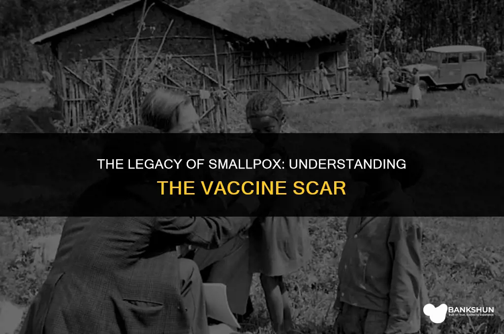 what old vaccine left a round scar