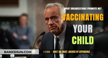 Exploring the Anti-Vaccination Movement: Organizations and Their Impact