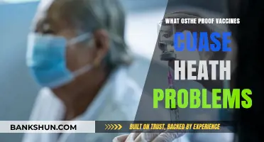 Exploring the Evidence: Do Vaccines Cause Health Problems?