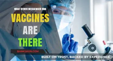 Exploring the Landscape of mRNA Vaccines Beyond COVID-19