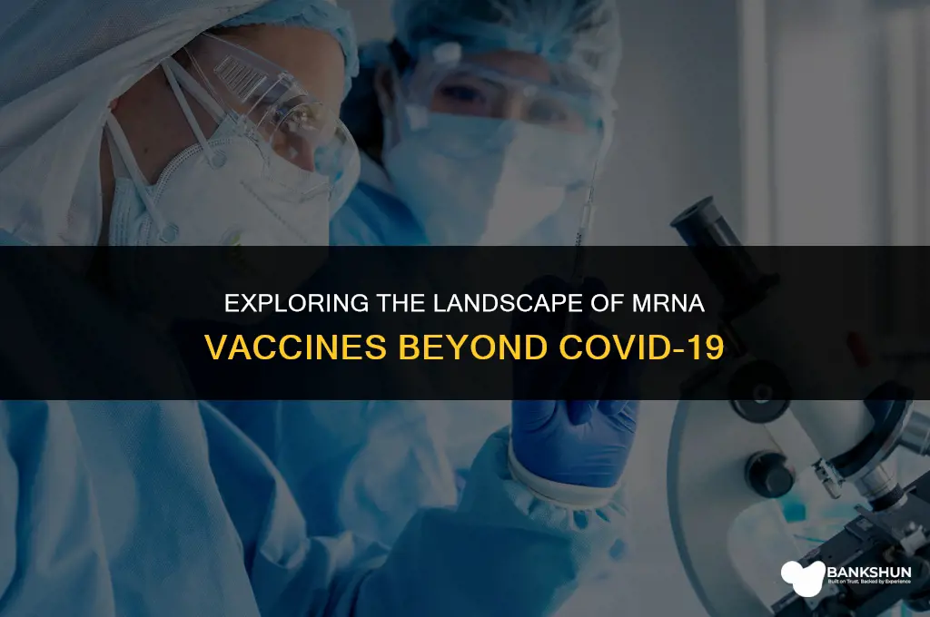 what other messenger rna vaccines are there