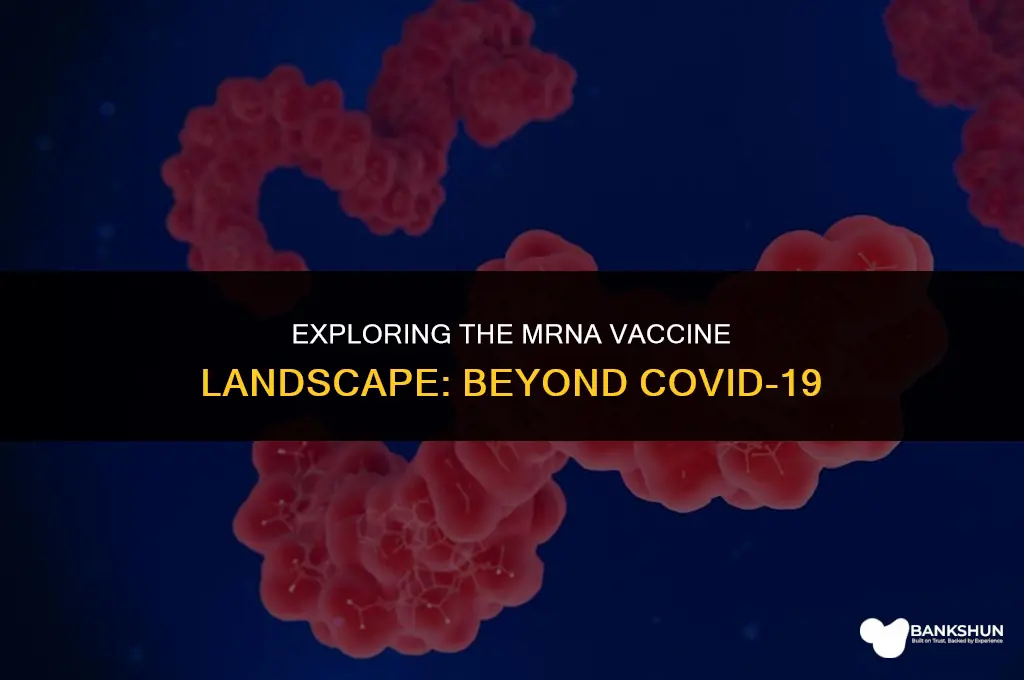 what other mrna vaccines do we have