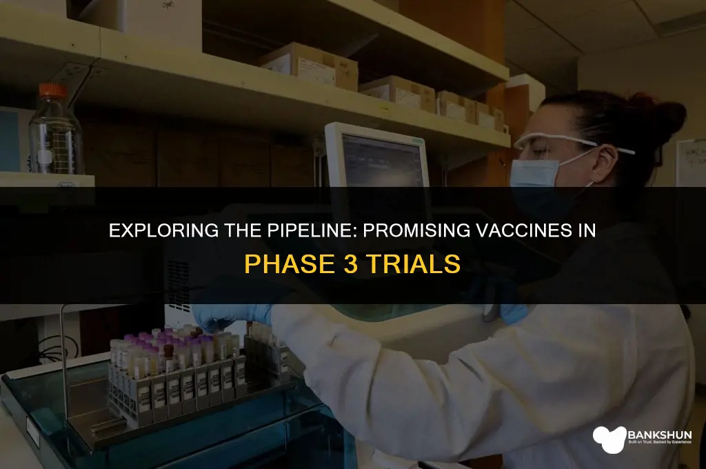 what other vaccines are in phase 3