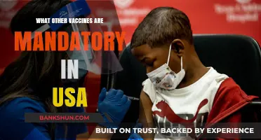 Essential Vaccines in the USA: Beyond the Basics