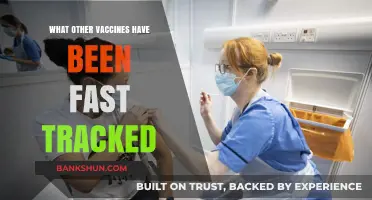 Accelerating Immunity: A Look at Fast-Tracked Vaccines Beyond COVID-19