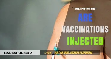 Understanding Vaccine Injection Sites: A Guide to Arm Anatomy