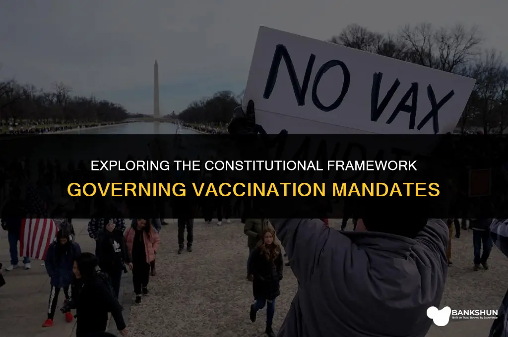 what part pf constituion deals with vaccination