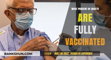 Vaccination Rates: A Comprehensive Look at Adult Immunization